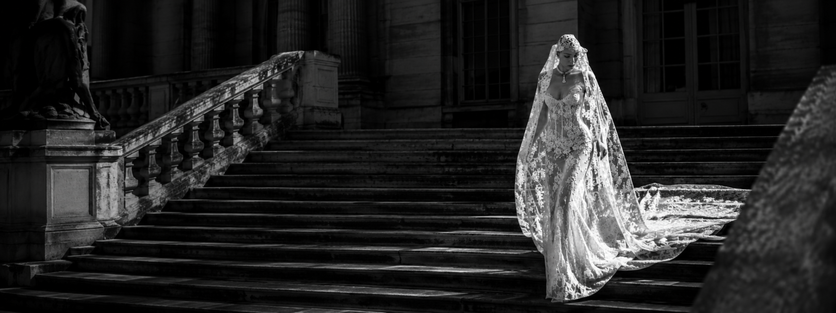 The Gown Edition