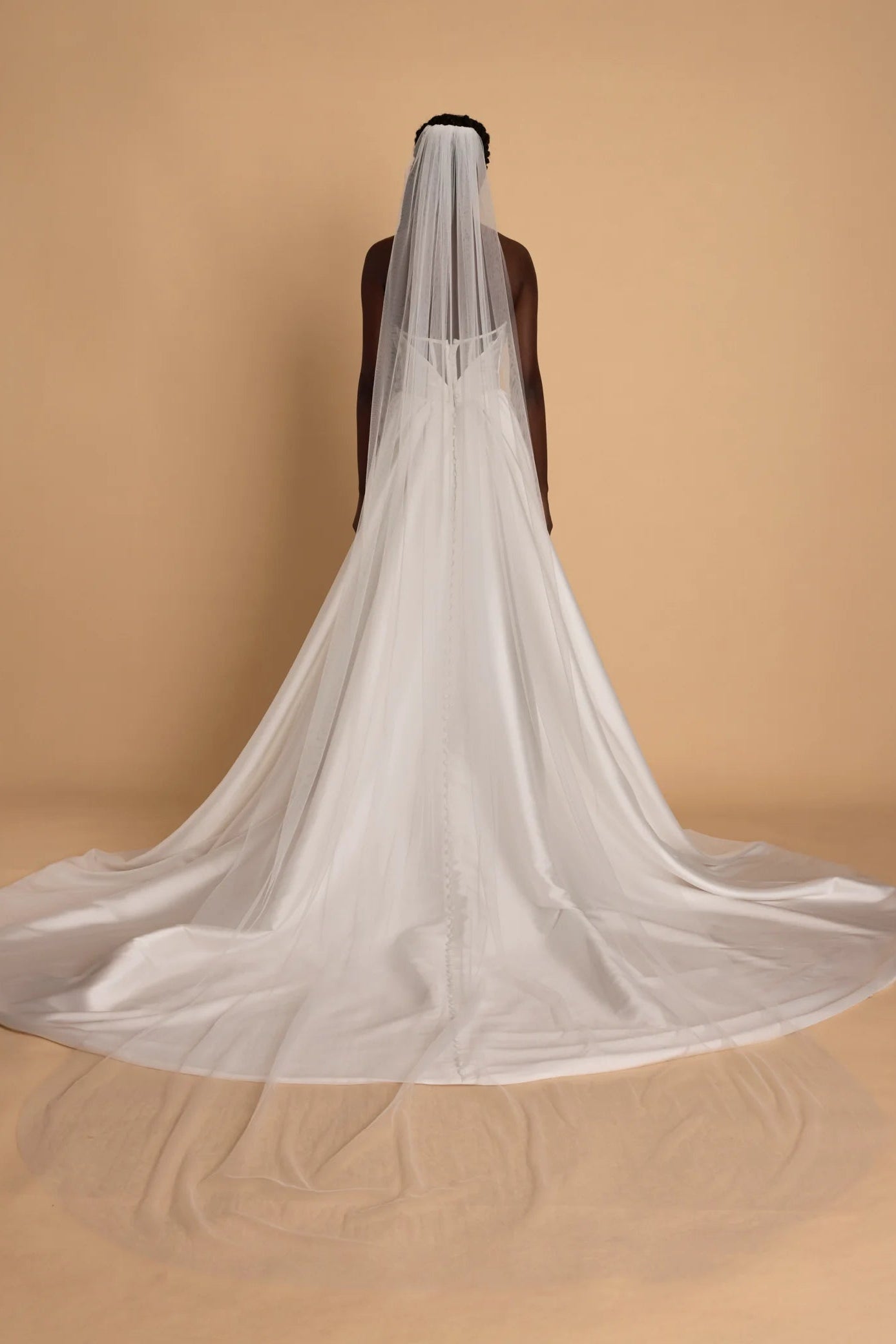 white cathedral tulle veil single tier