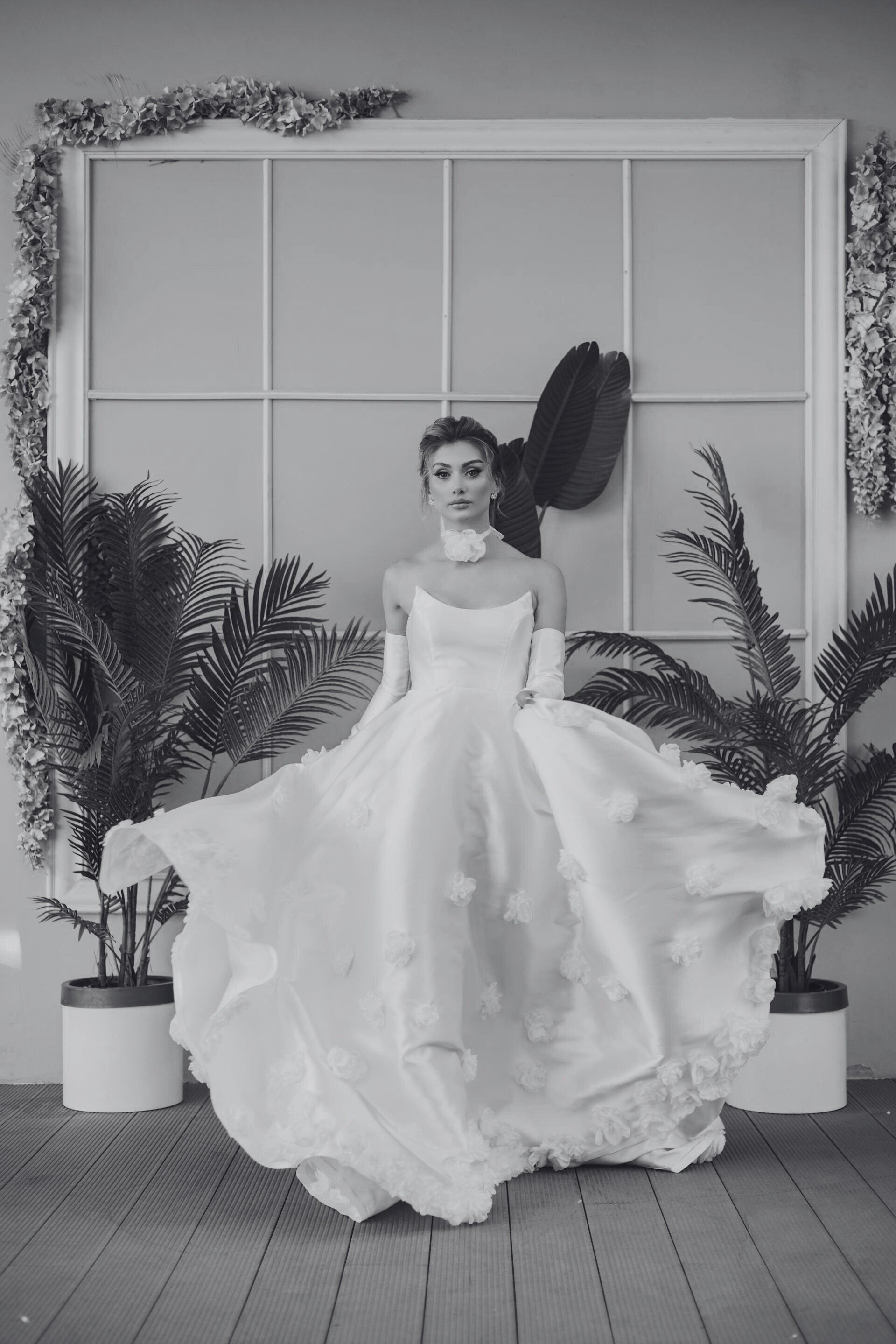 The Gown Edition