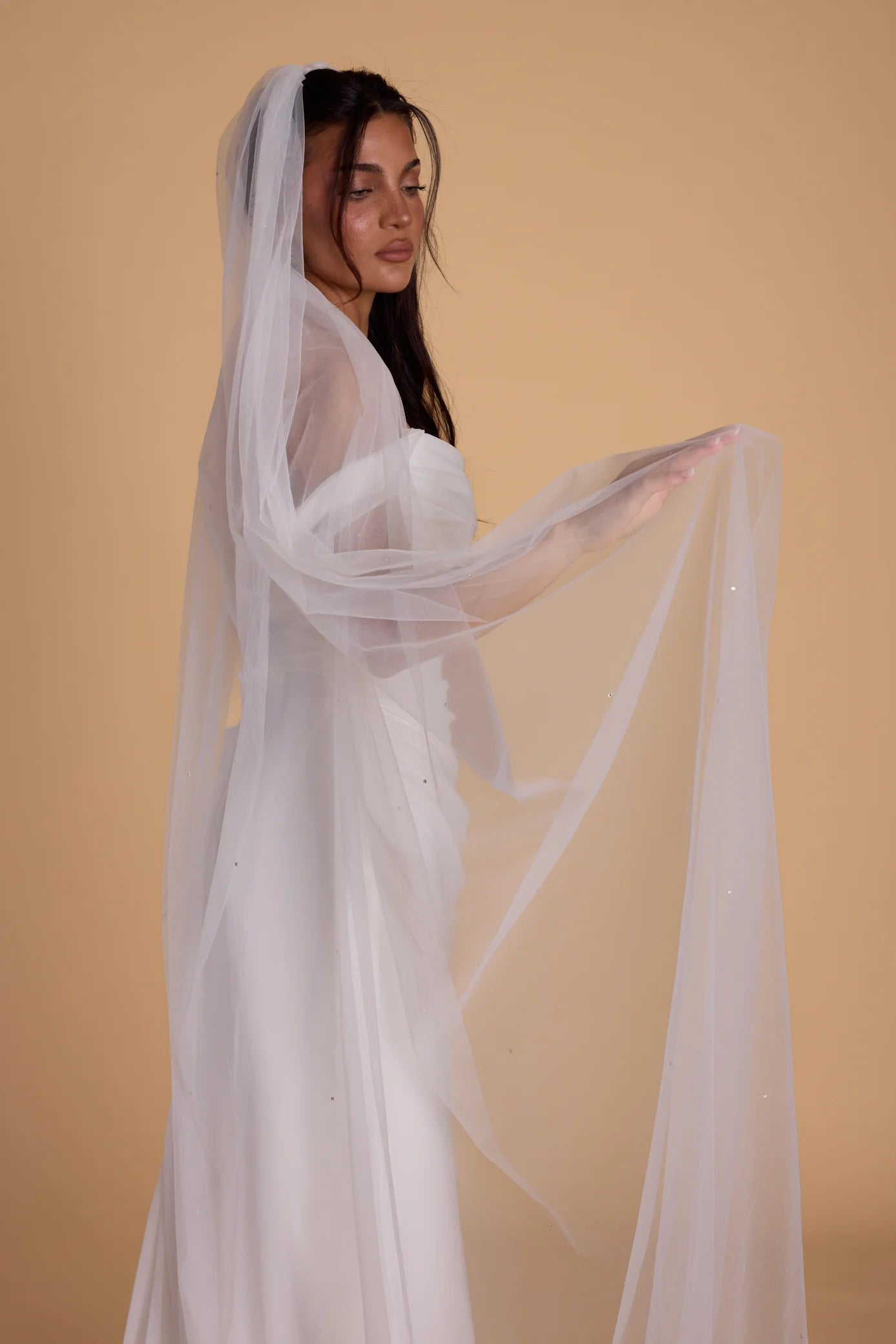 Off-White Swarovski Crystal - Single Tier Veil