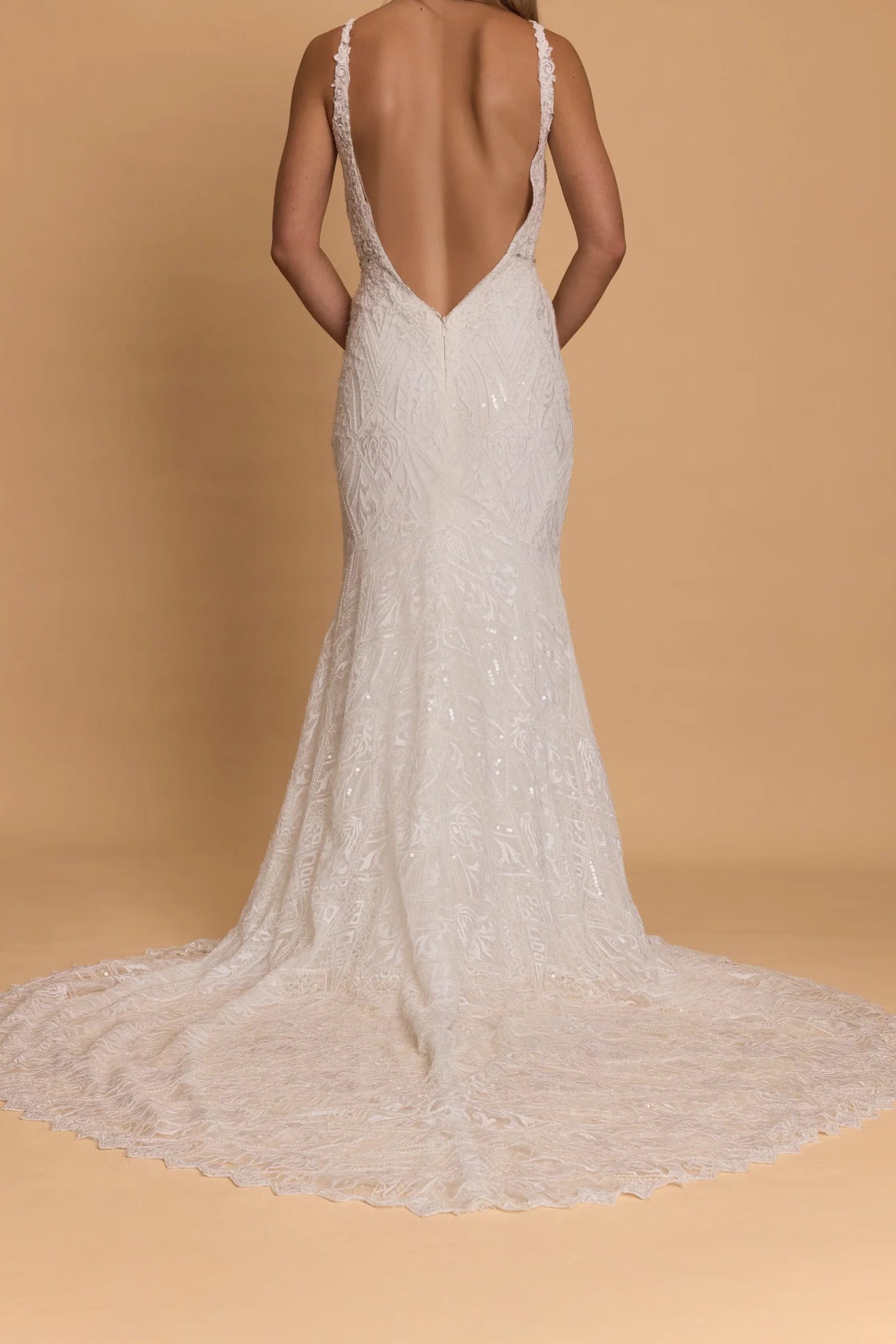 Rosa Clara Katrin wedding gown, white, lace, sequin, plunge front, low back, bridal